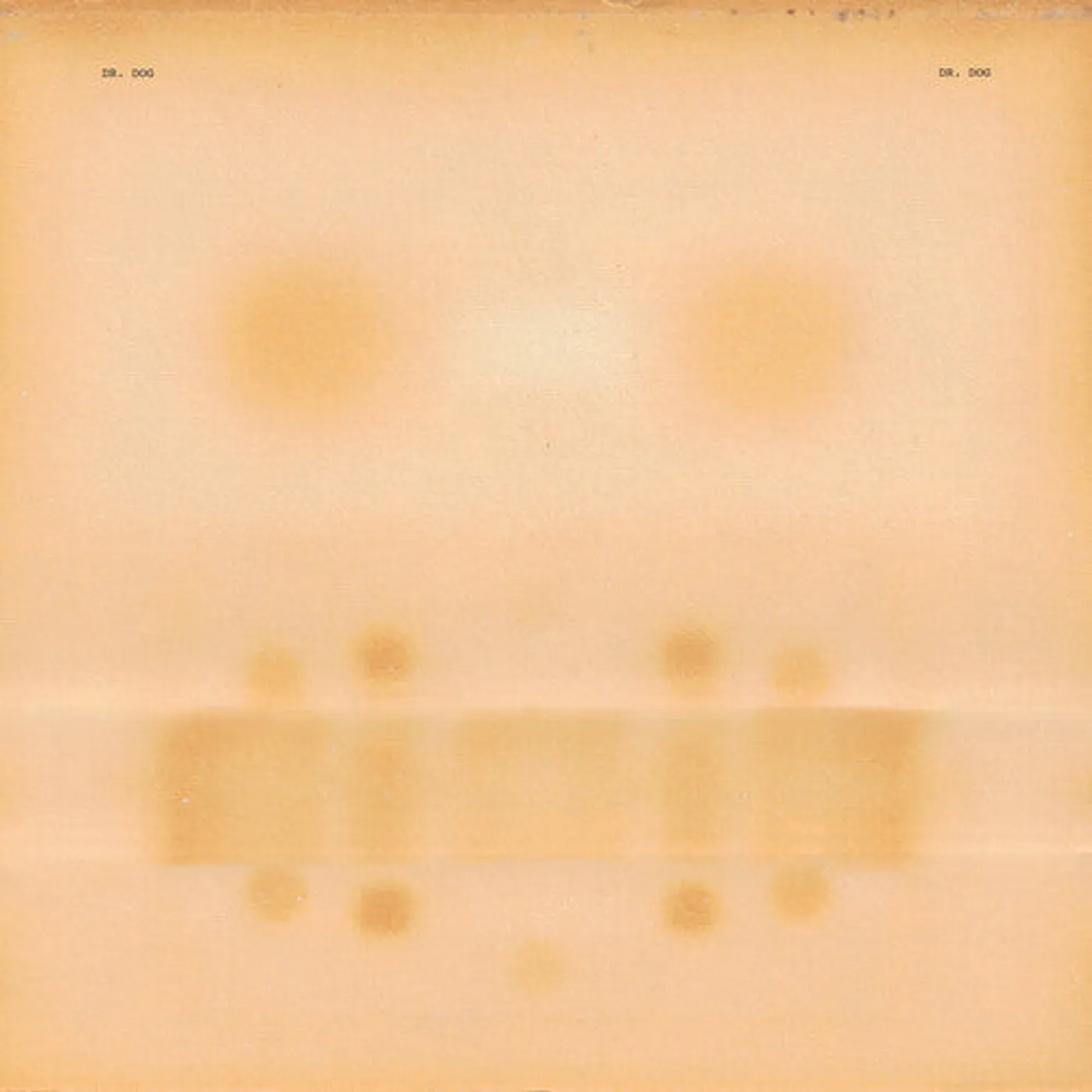 Dr. Dog LP Vinyl - Dr. Dog