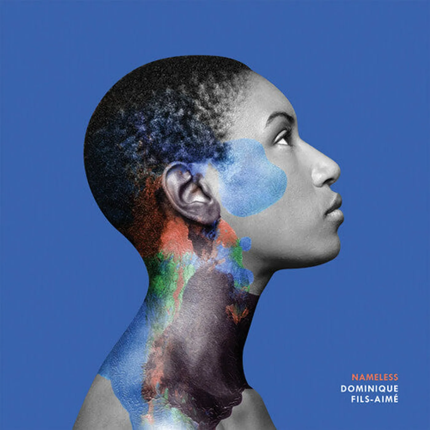 Dominique Fils-Aimé LP Vinyl - Nameless (Ogv)
