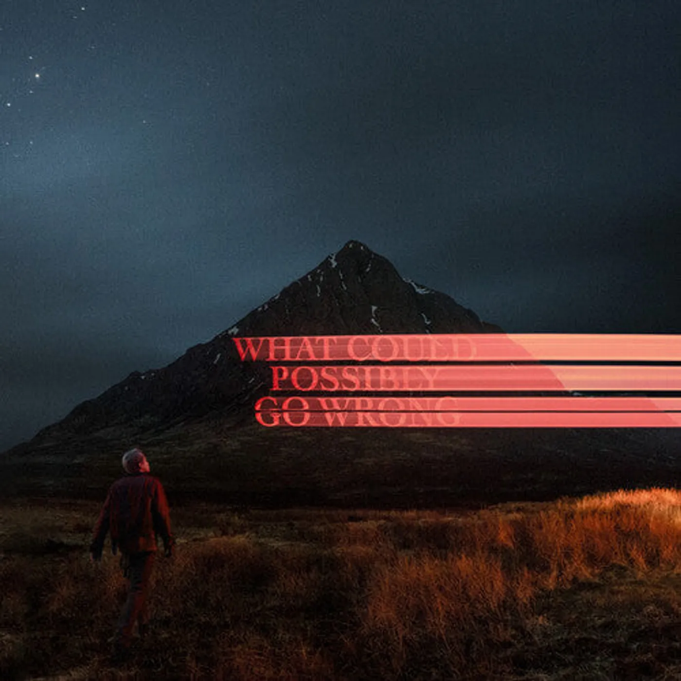 Dominic Fike LP Vinyl - What Could Possibly Go Wrong (Gate Fold) (Ofgv) (Post)