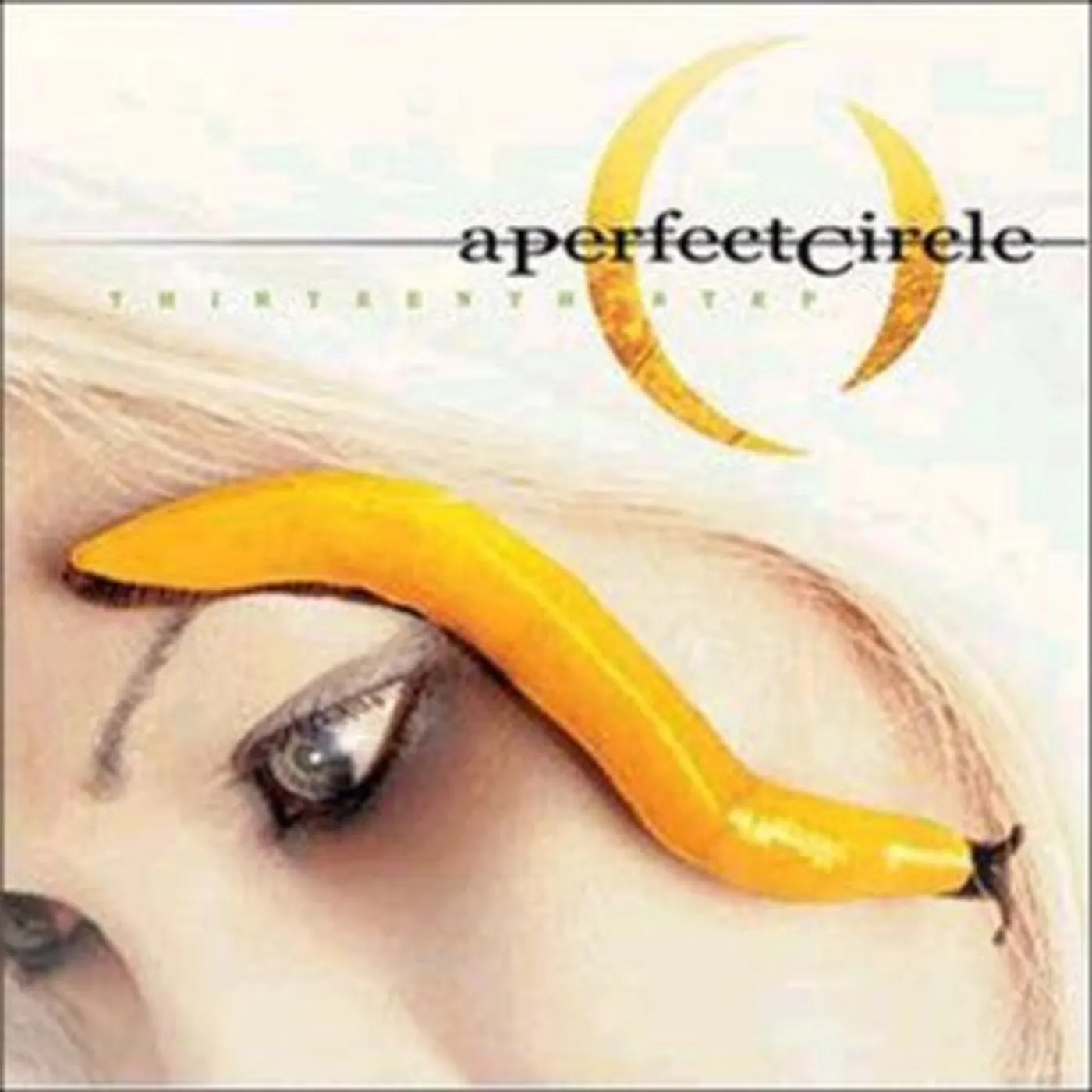 A Perfect Circle LP Vinyl - Thirteenth Step