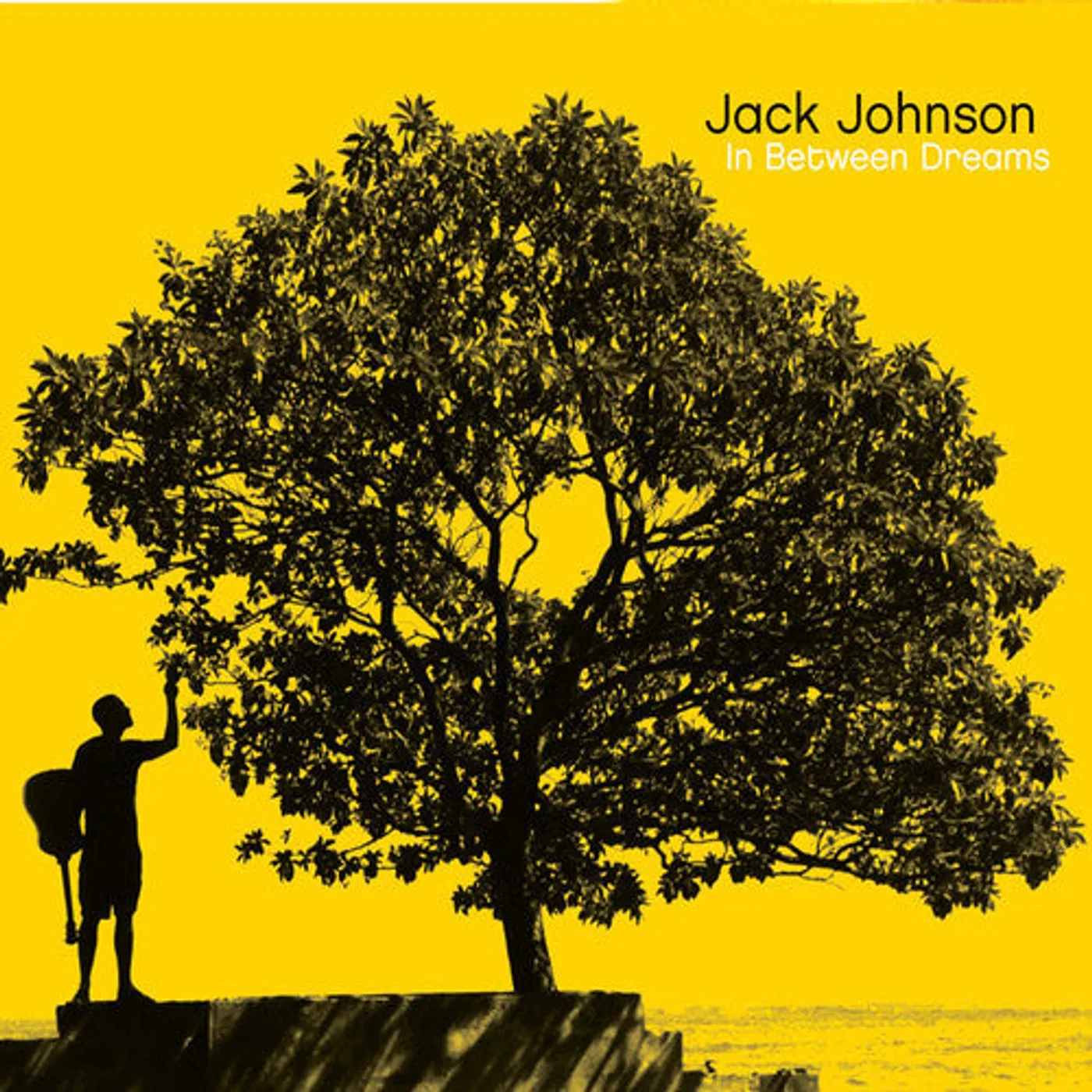 Jack Johnson LP Vinyl - In Between Dreams