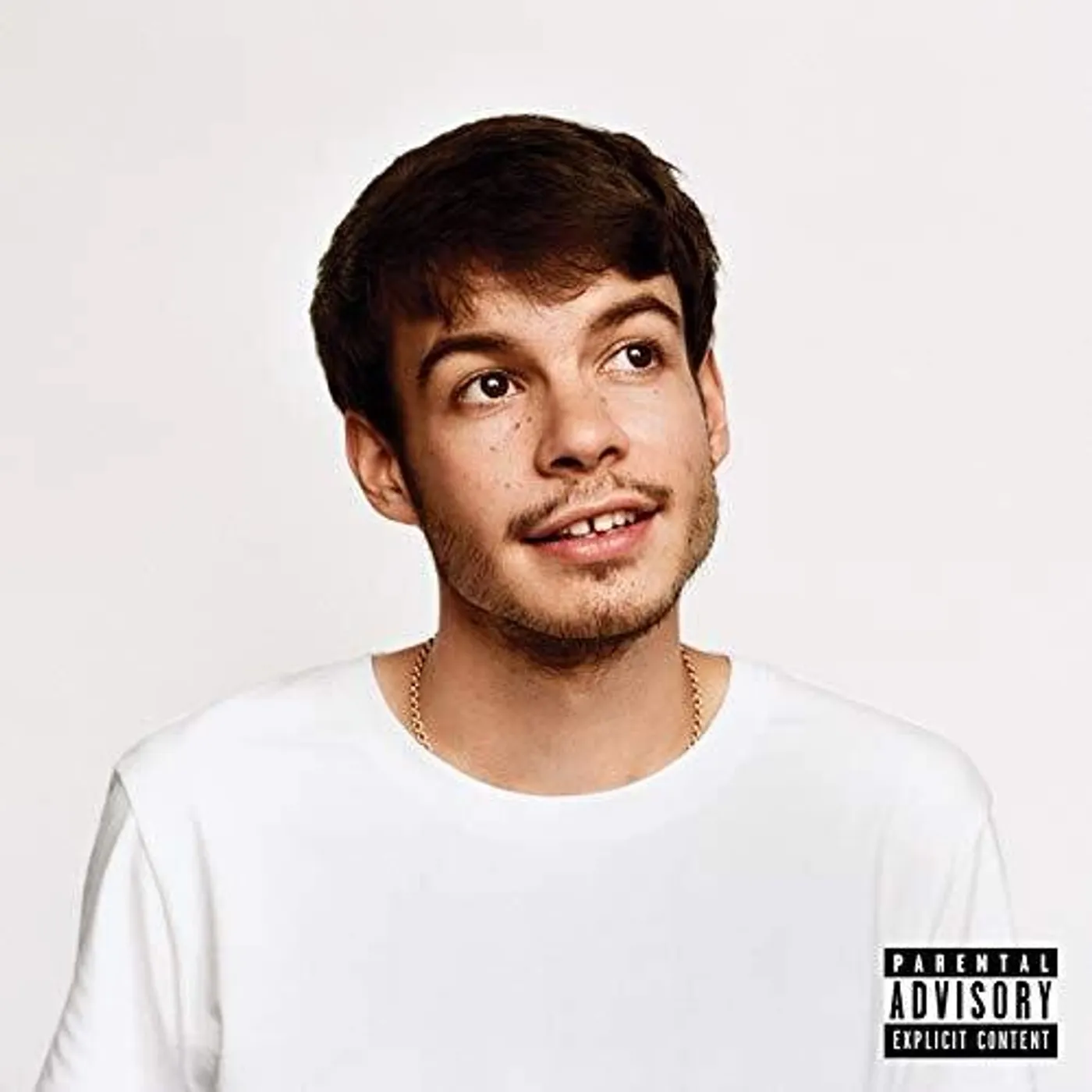 Rex Orange County LP Vinyl - Pony (Ofgv)
