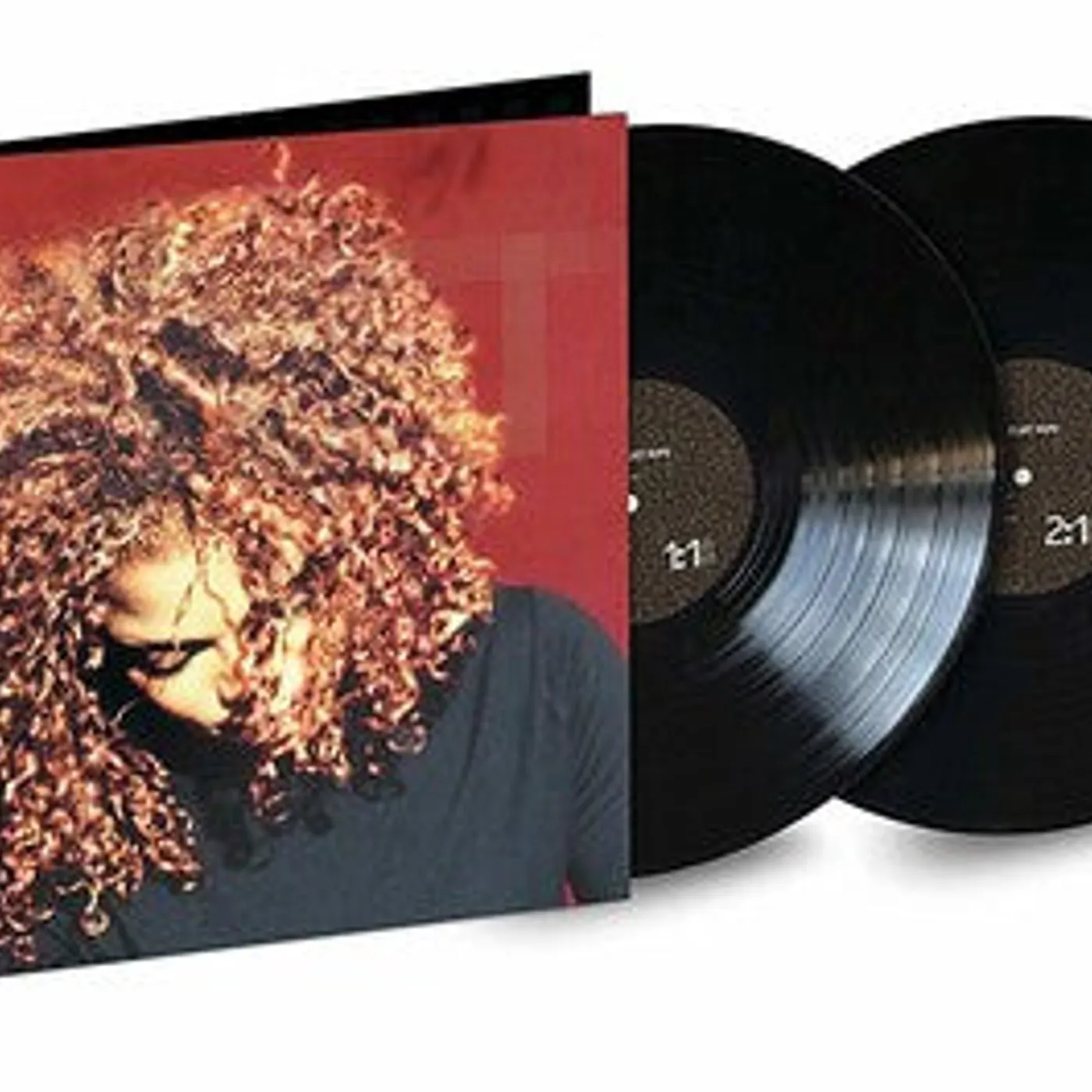 Janet Jackson LP Vinyl - Velvet Rope