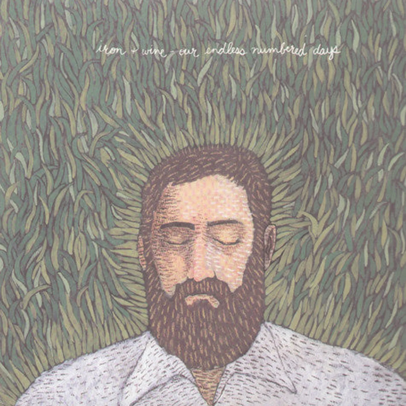 Iron & Wine LP Vinyl - Our Endless Numbered Days