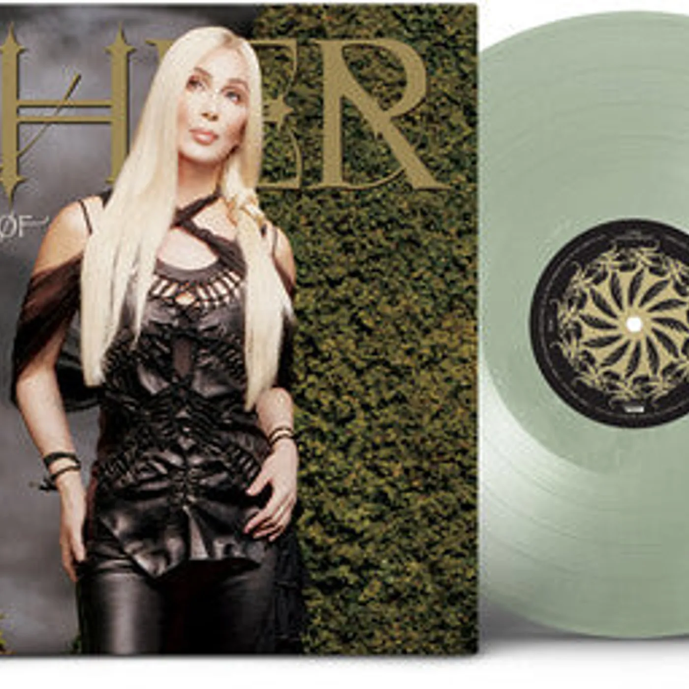 Cher LP Vinyl - Living Proof