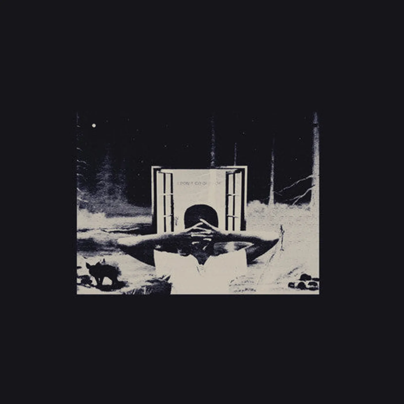 Earl Sweatshirt LP Vinyl - I Don'T Like Shit I Don'T Go Outside: An Album By