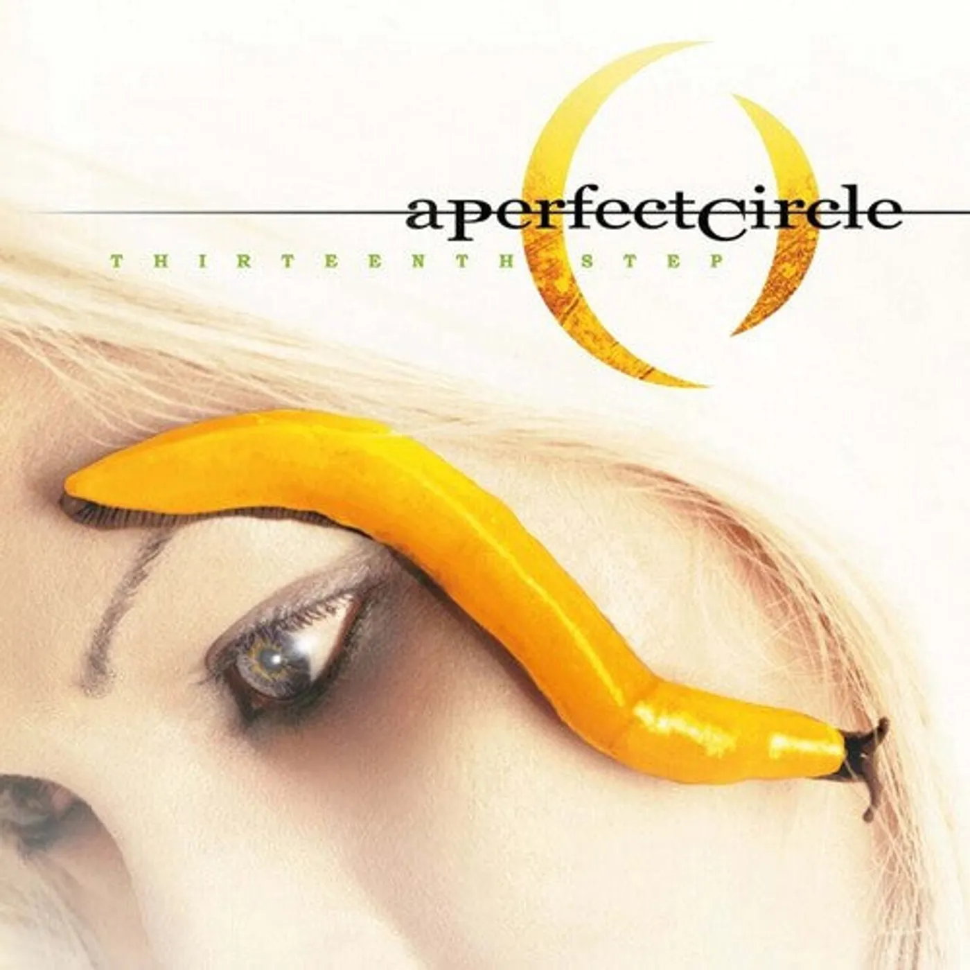 A Perfect Circle LP Vinyl - Thirteenth Step (Hol)