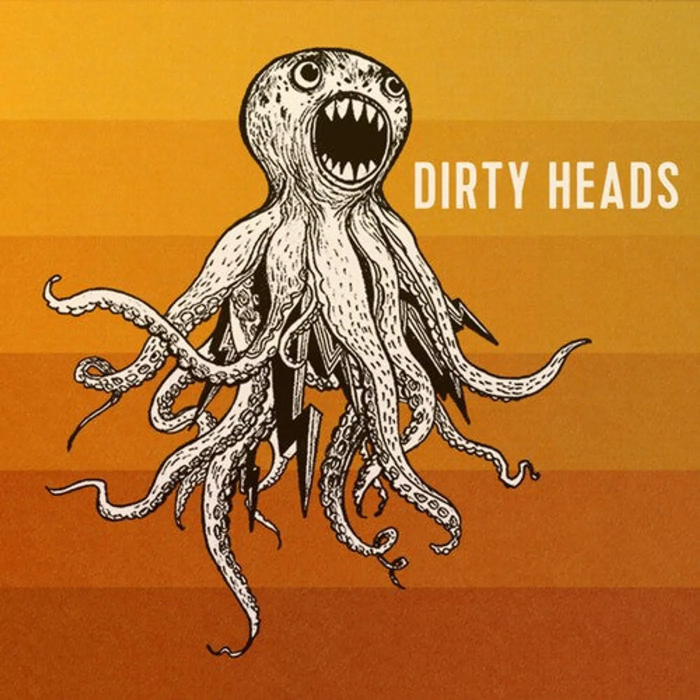 Dirty Heads LP Vinyl - Dirty Heads (Blk)