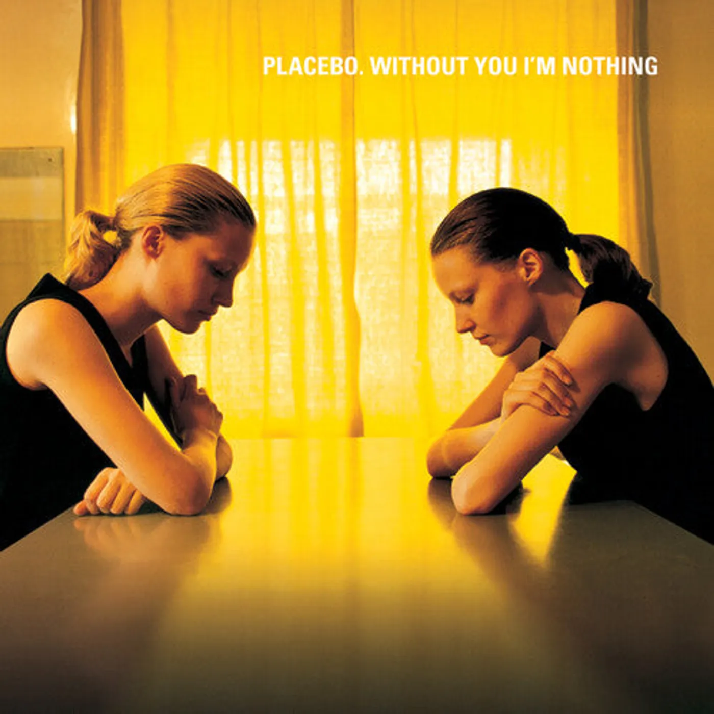 Placebo LP Vinyl - Without You I'M Nothing