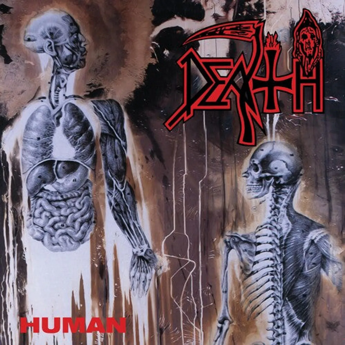 Death LP Vinyl - Human (Blue) (Colv) (Gol) (Wht) (Spla)