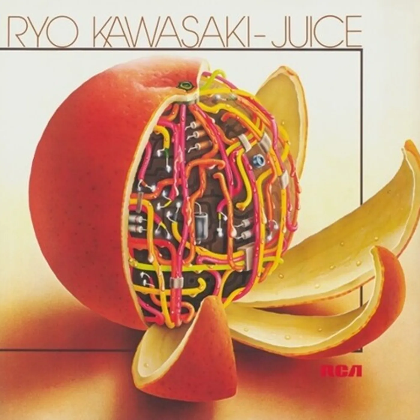 Ryo Kawasaki LP Vinyl - Juice