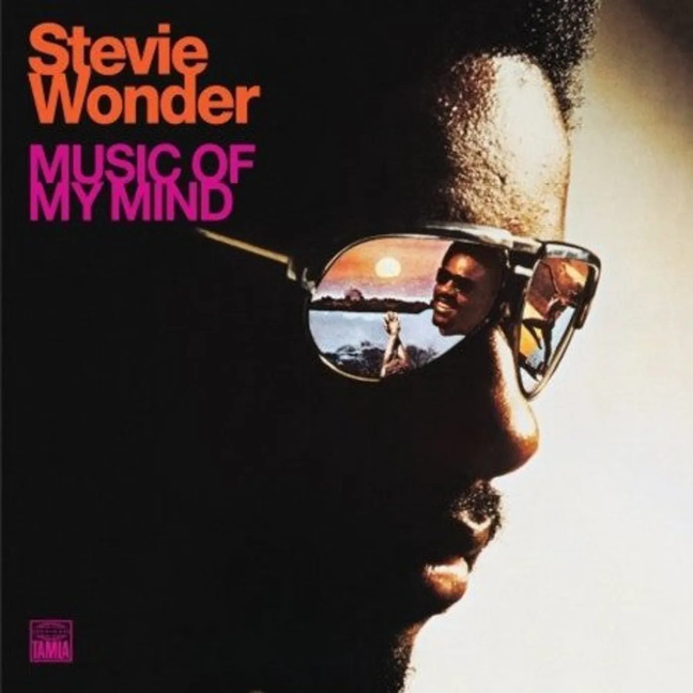 Stevie Wonder LP Vinyl - Music Of My Mind (Ogv)