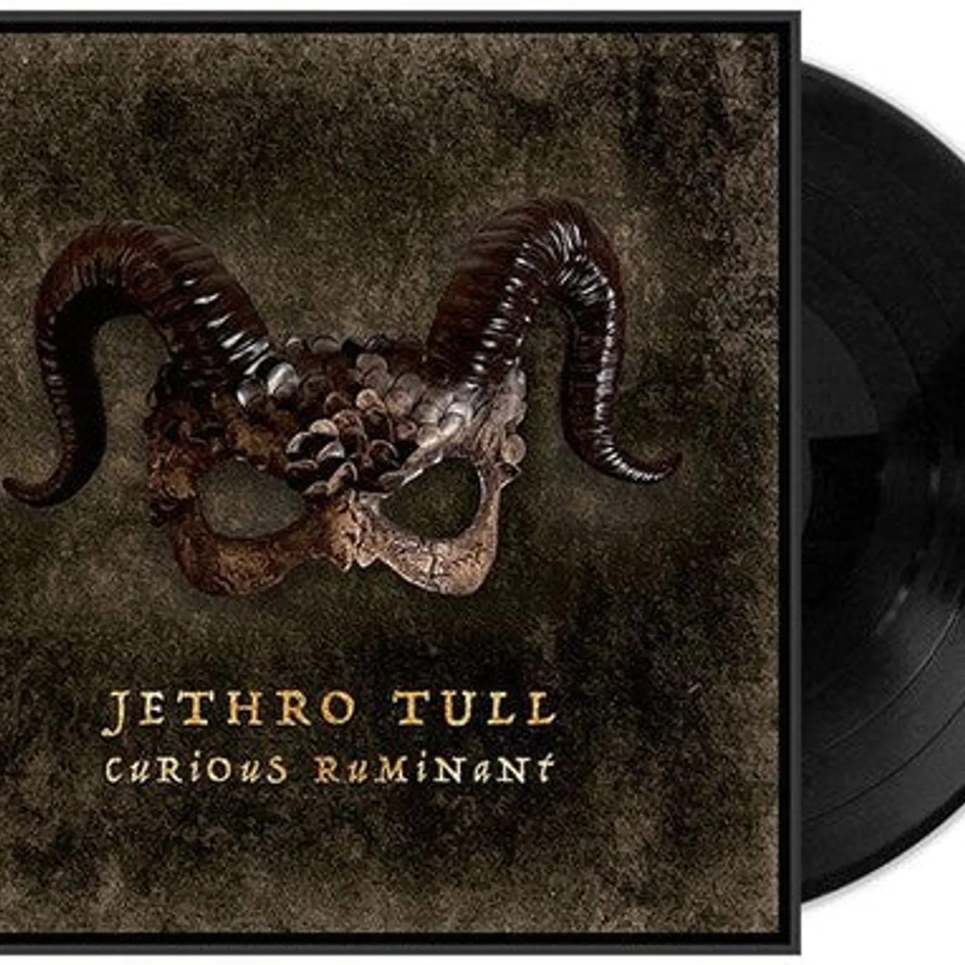Jethro Tull LP Vinyl - Curious Ruminant (Gate Fold) (Wb)