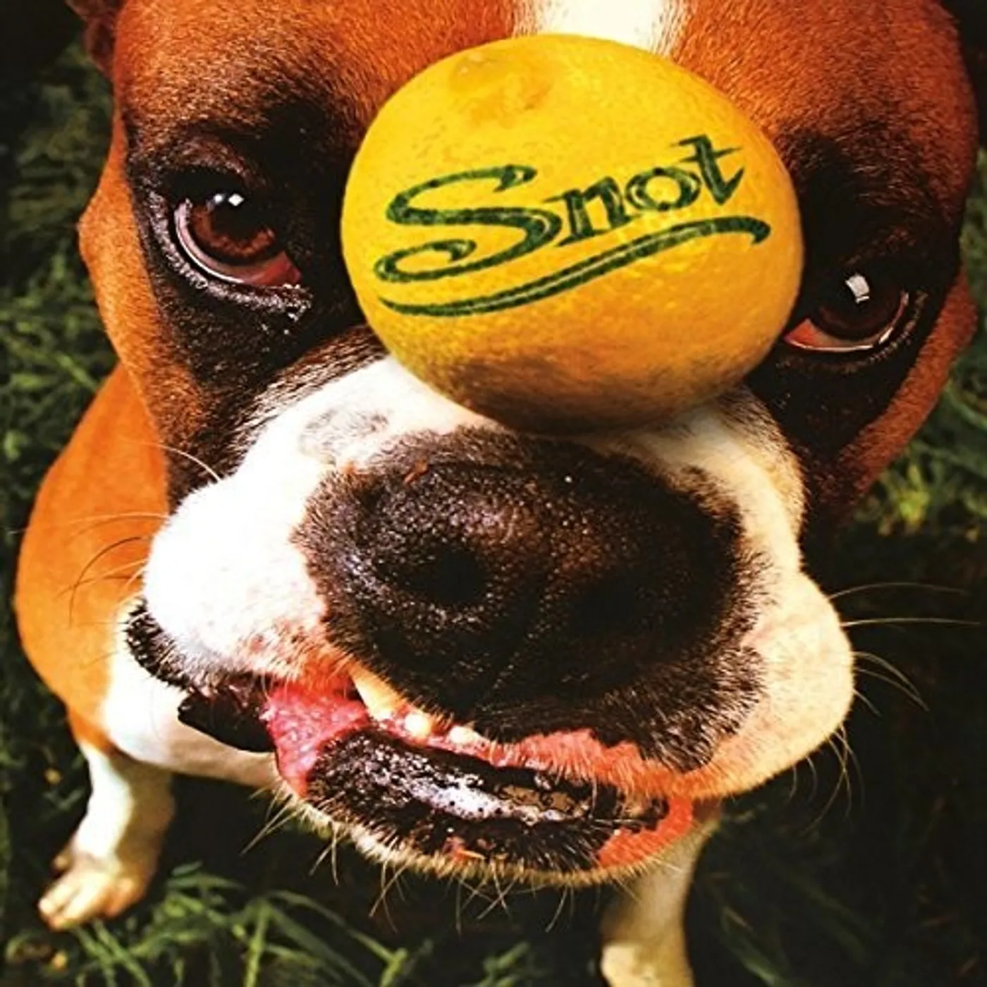 Snot LP Vinyl - Get Some (Hol)