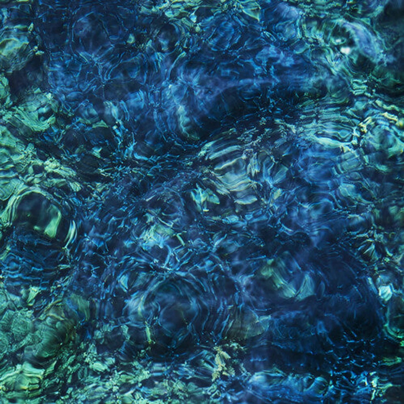 Ichiko Aoba LP Vinyl - Luminescent Creatures