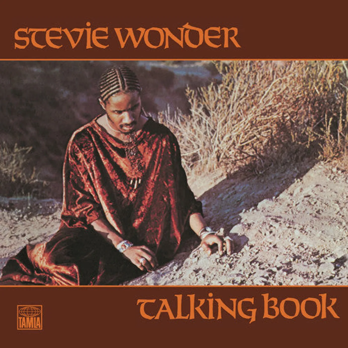Stevie Wonder LP Vinyl - Talking Book