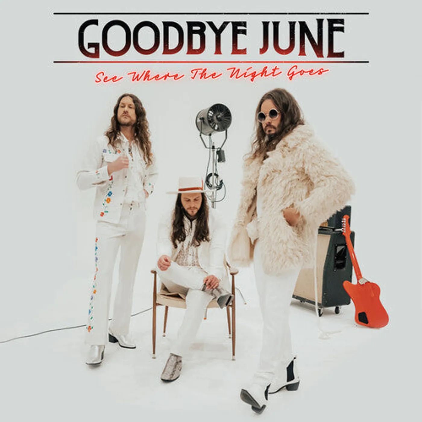 Goodbye June LP Vinyl - See Where The Night Goes