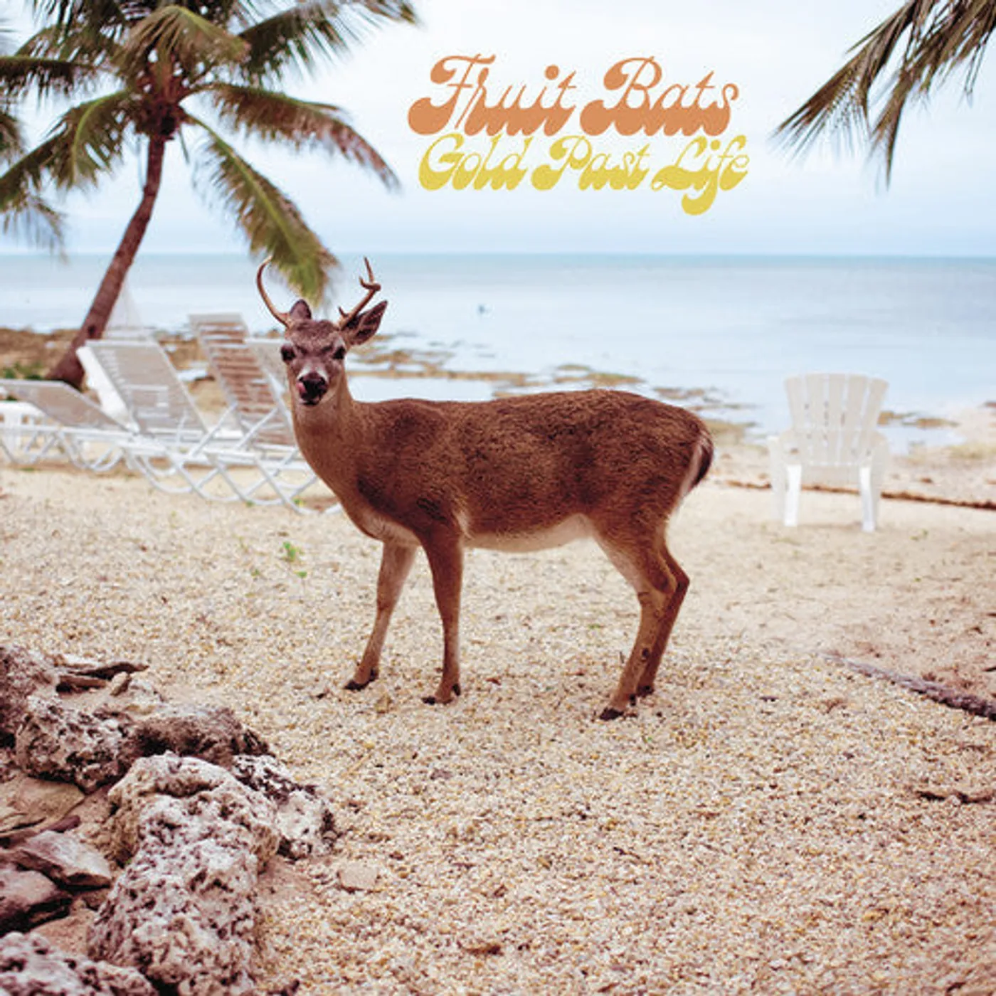 Fruit Bats LP Vinyl - Gold Past Life (Blk) (Dlcd)