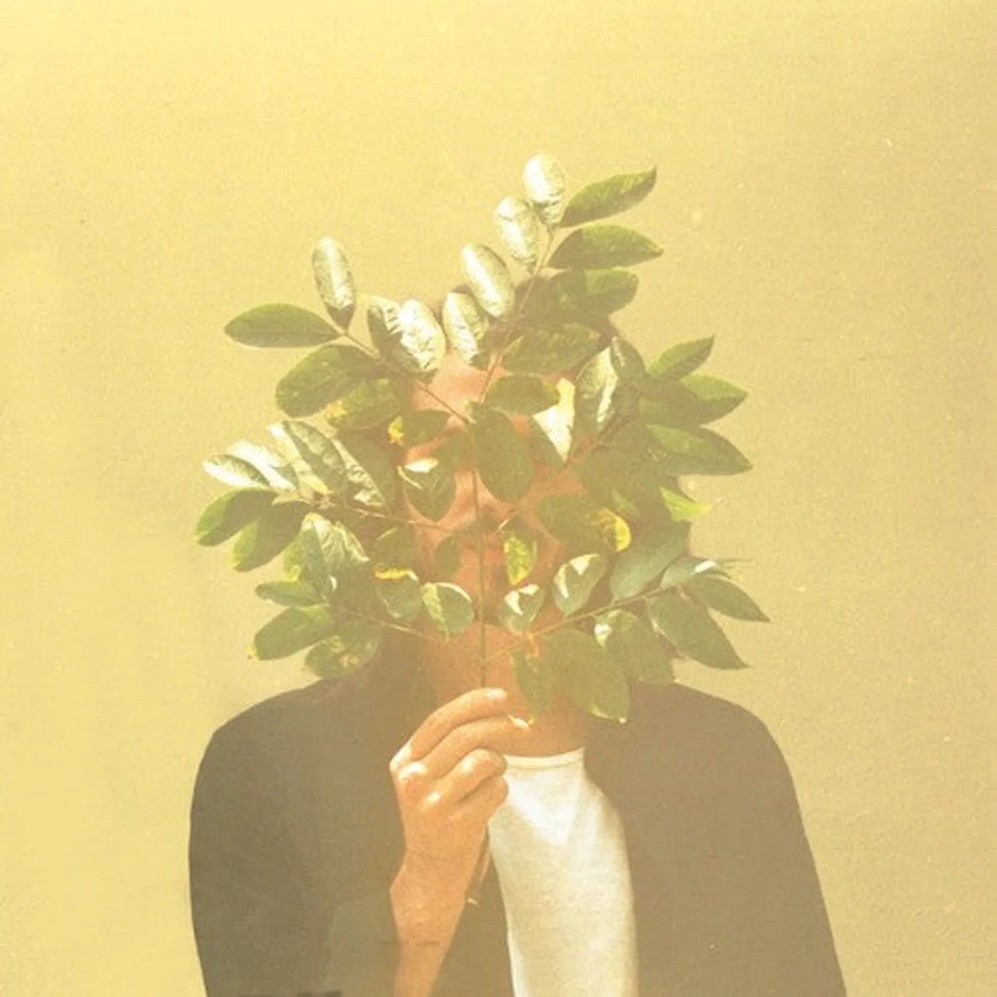 Fkj LP Vinyl - French Kiwi Juice