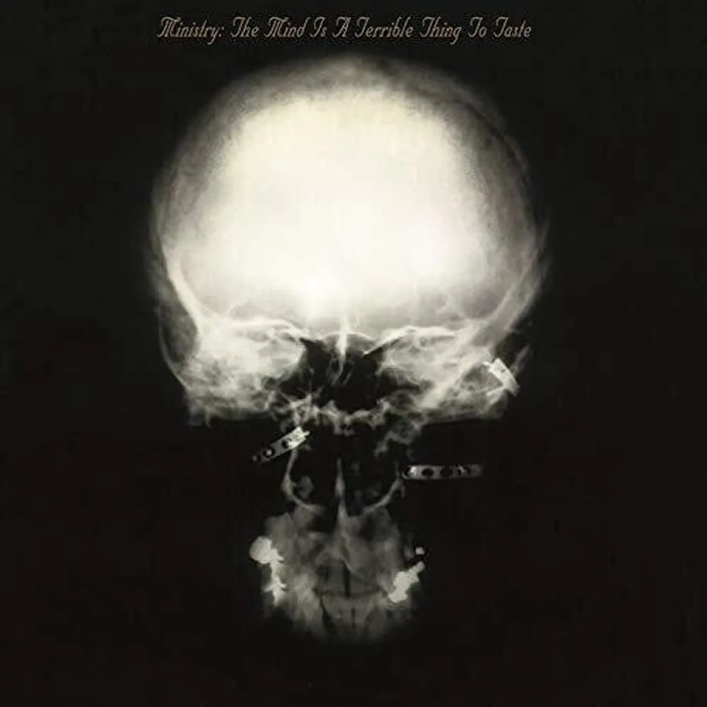 Ministry LP Vinyl - Mind Is A Terrible Thing To Taste (Hol)