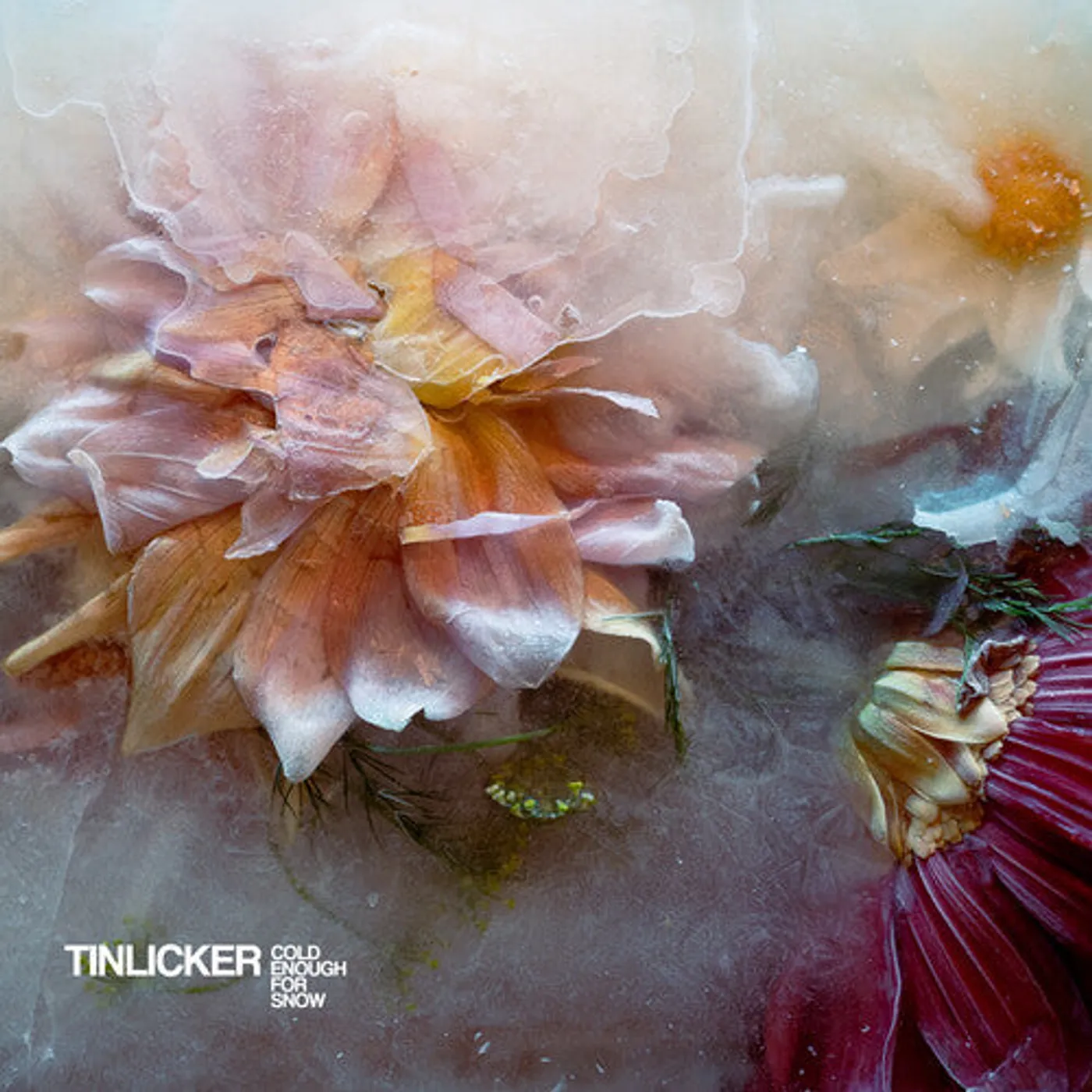 Tinlicker LP Vinyl - Cold Enough For Snow