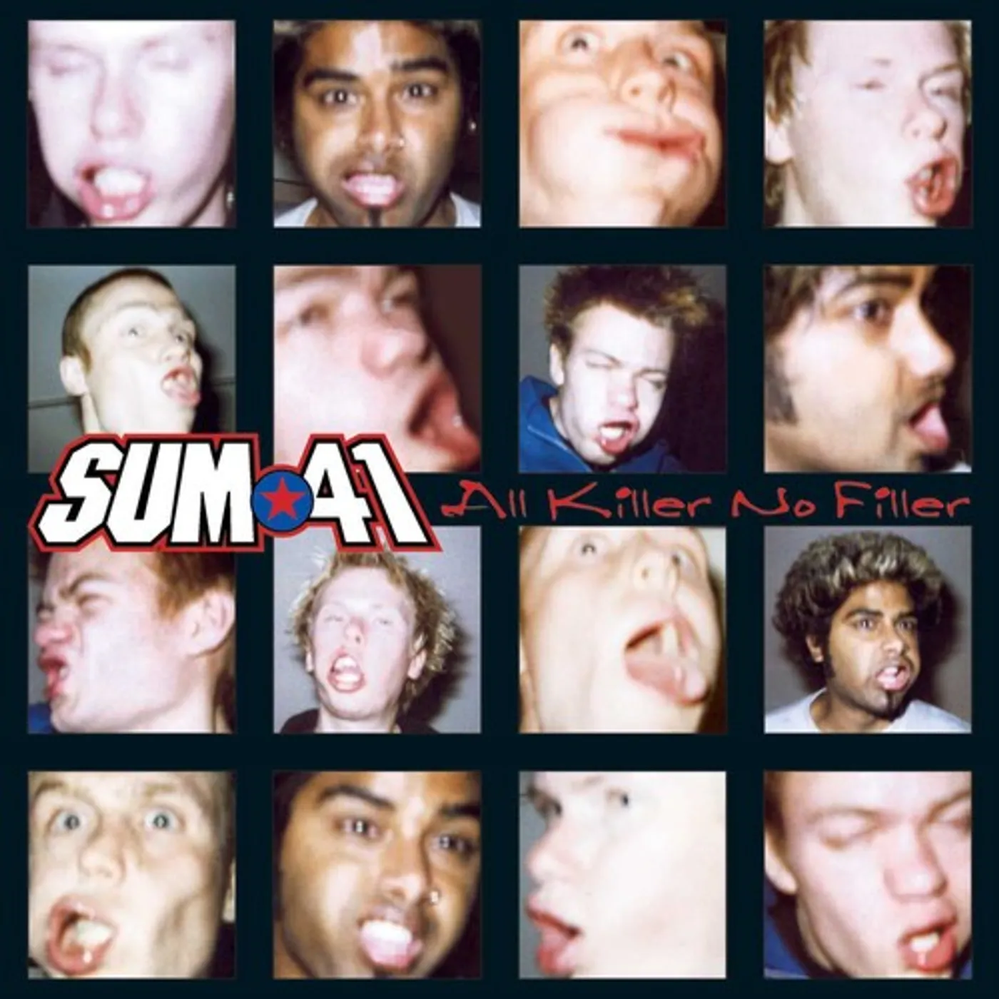 Sum 41 LP Vinyl - All Killer No Filler