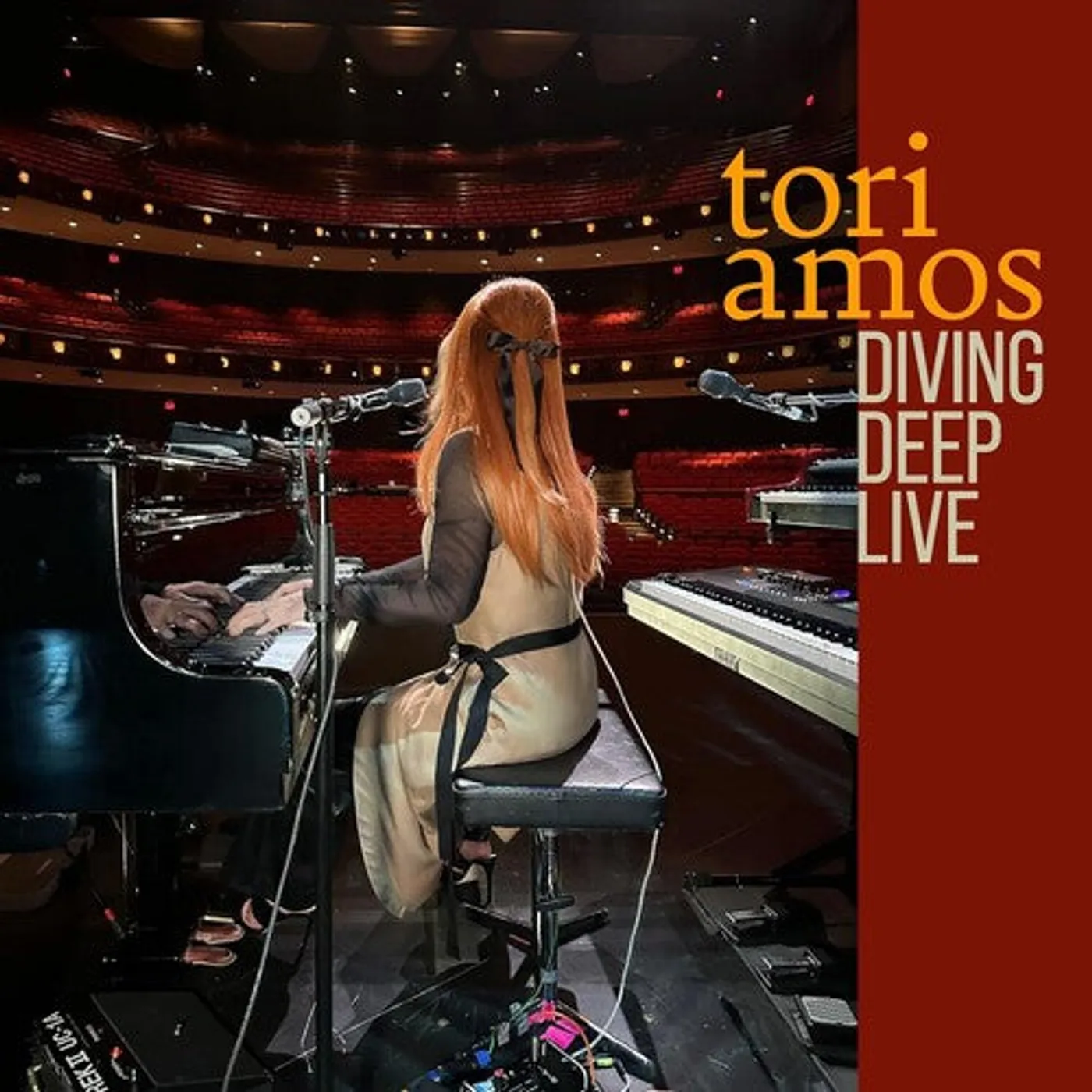 Tori Amos LP Vinyl - Diving Deep: Live