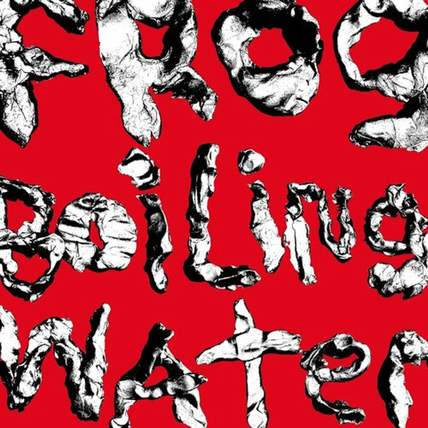 Diiv LP Vinyl - Frog In Boiling Water