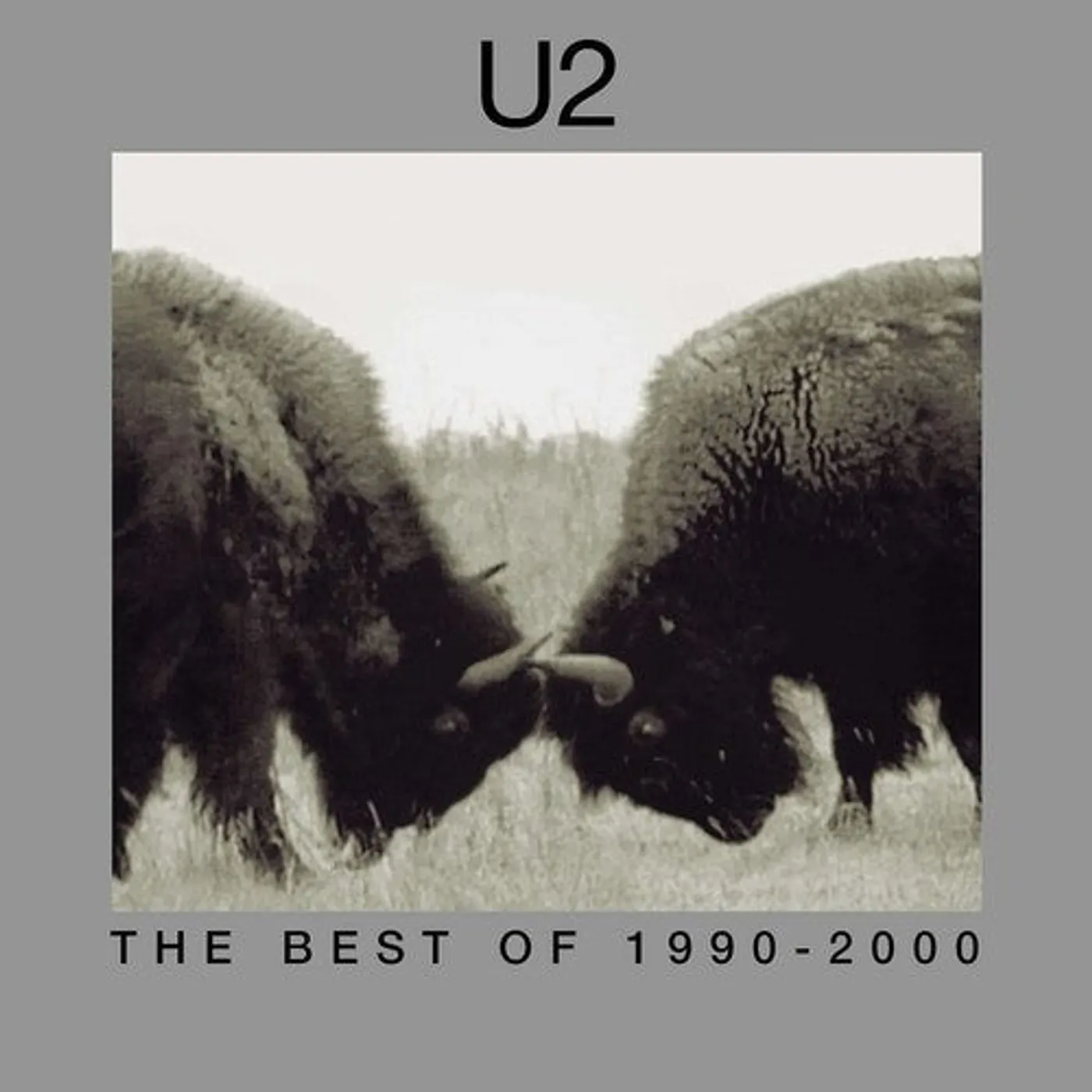U2 LP Vinyl - Best Of 1990-2000 (Ogv)