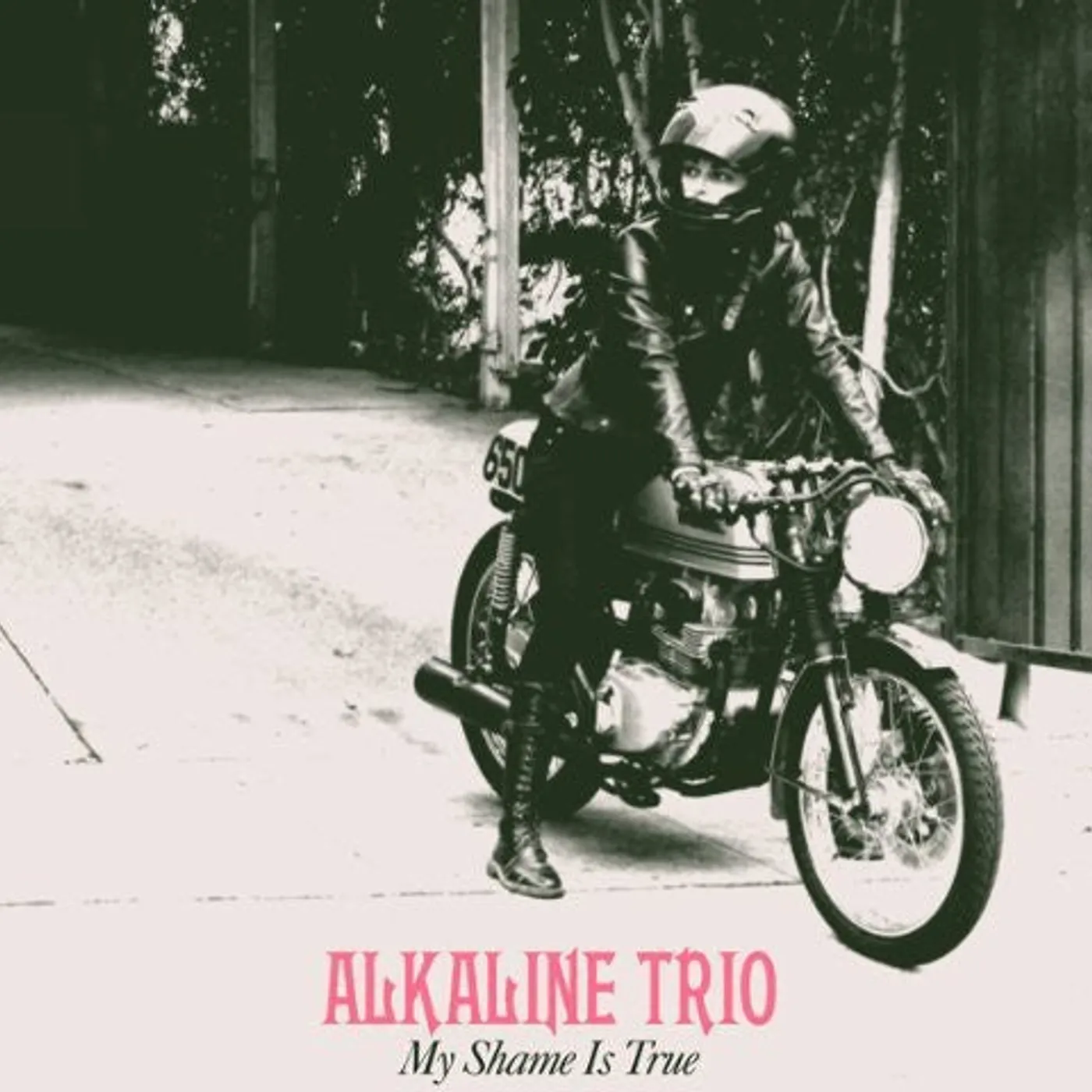 Alkaline Trio LP Vinyl - My Shame Is True