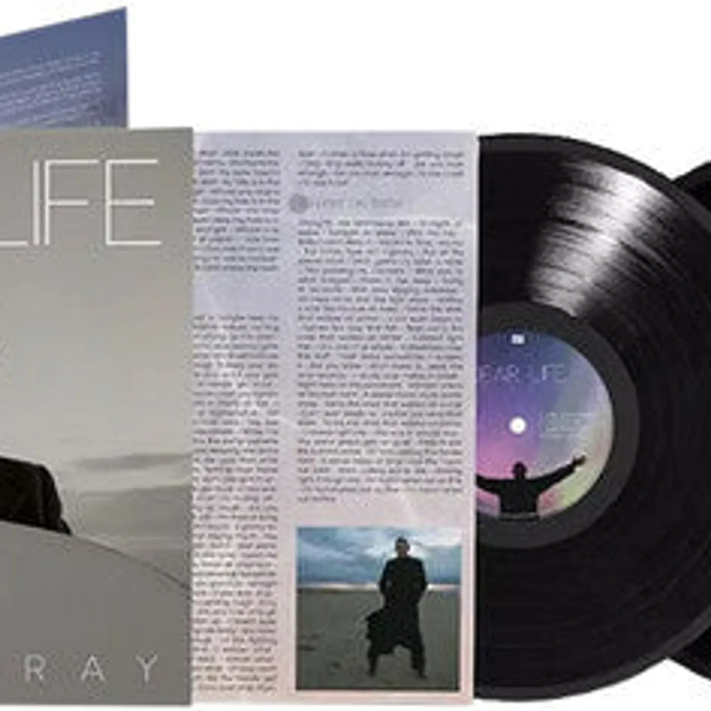David Gray LP Vinyl - Dear Life