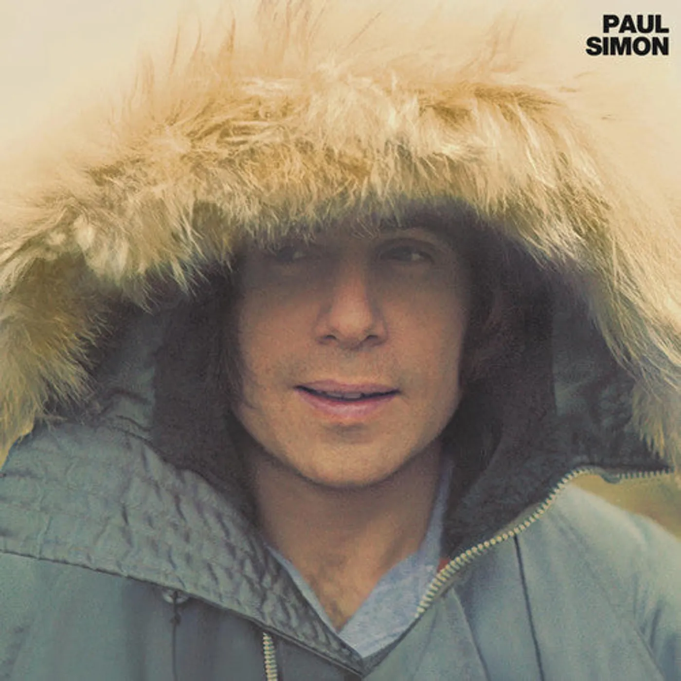 Paul Simon LP Vinyl - Paul Simon