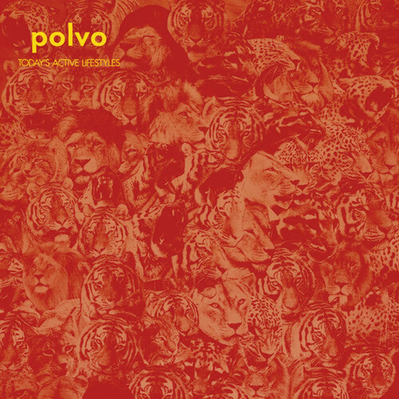 Polvo LP Vinyl - Today'S Active Lifestyles (Blk) (Dlcd) (Reis)