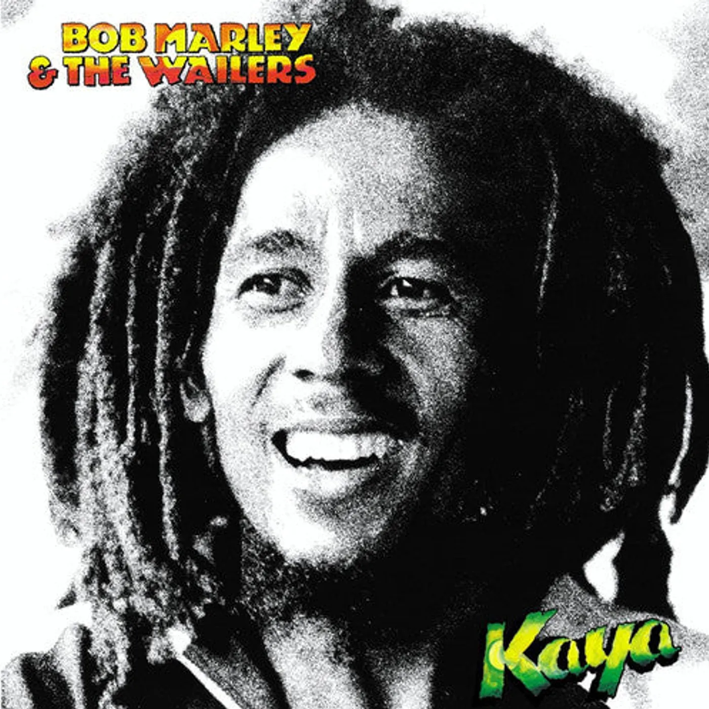 Bob Marley LP Vinyl - Kaya