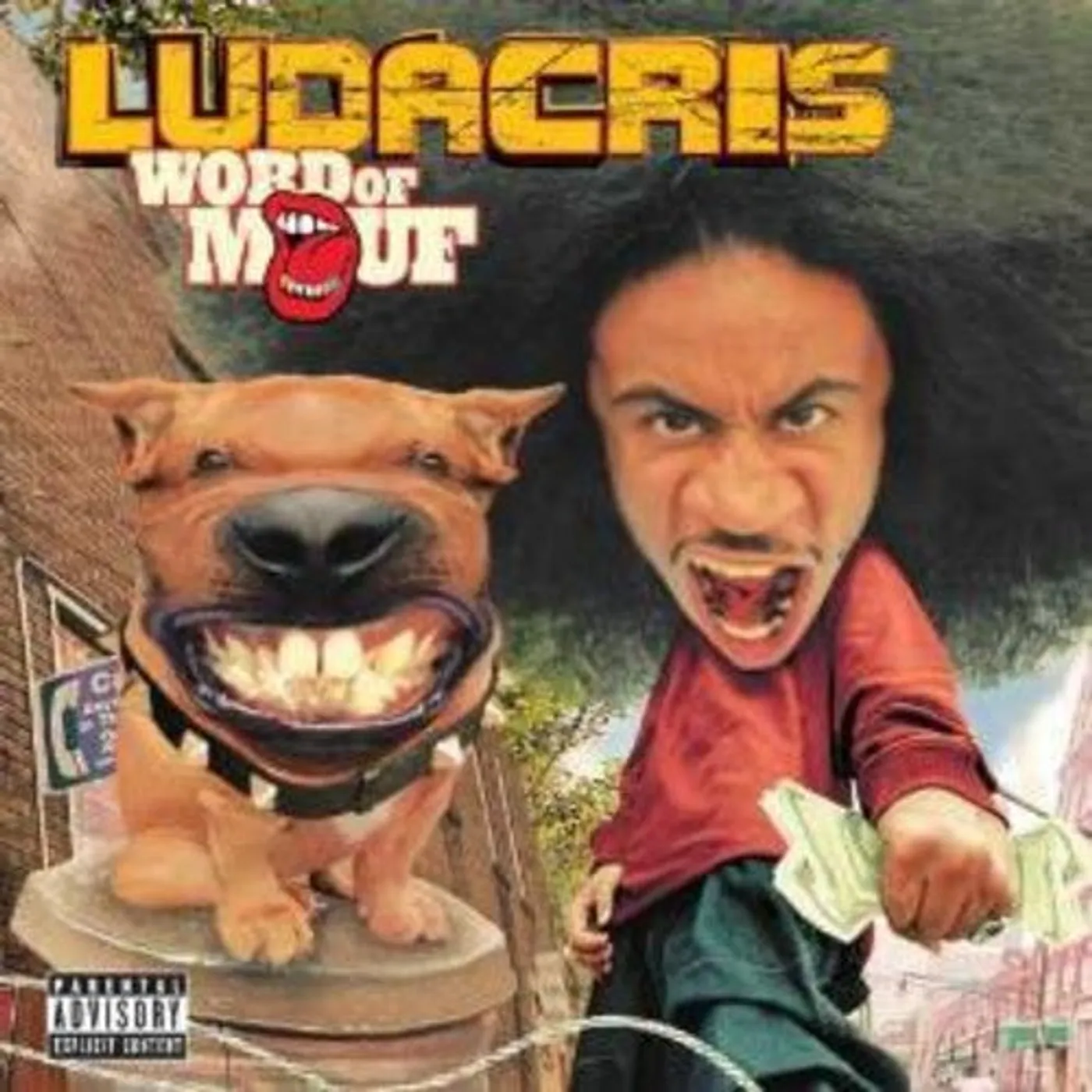 Ludacris LP Vinyl - Word Of Mouf (Cvnl)
