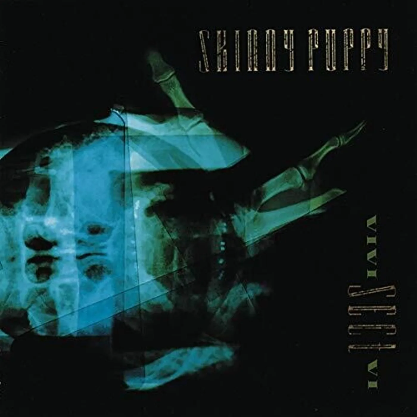 Skinny Puppy LP Vinyl - Vivi Sect Vi