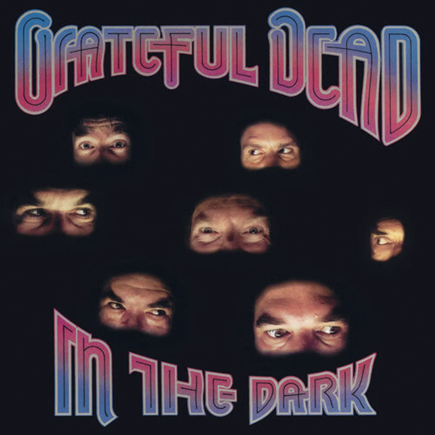 Grateful Dead LP Vinyl - In The Dark