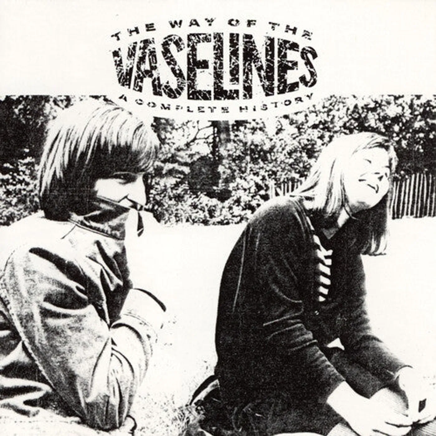 Vaselines LP Vinyl - Way Of The Vaselines