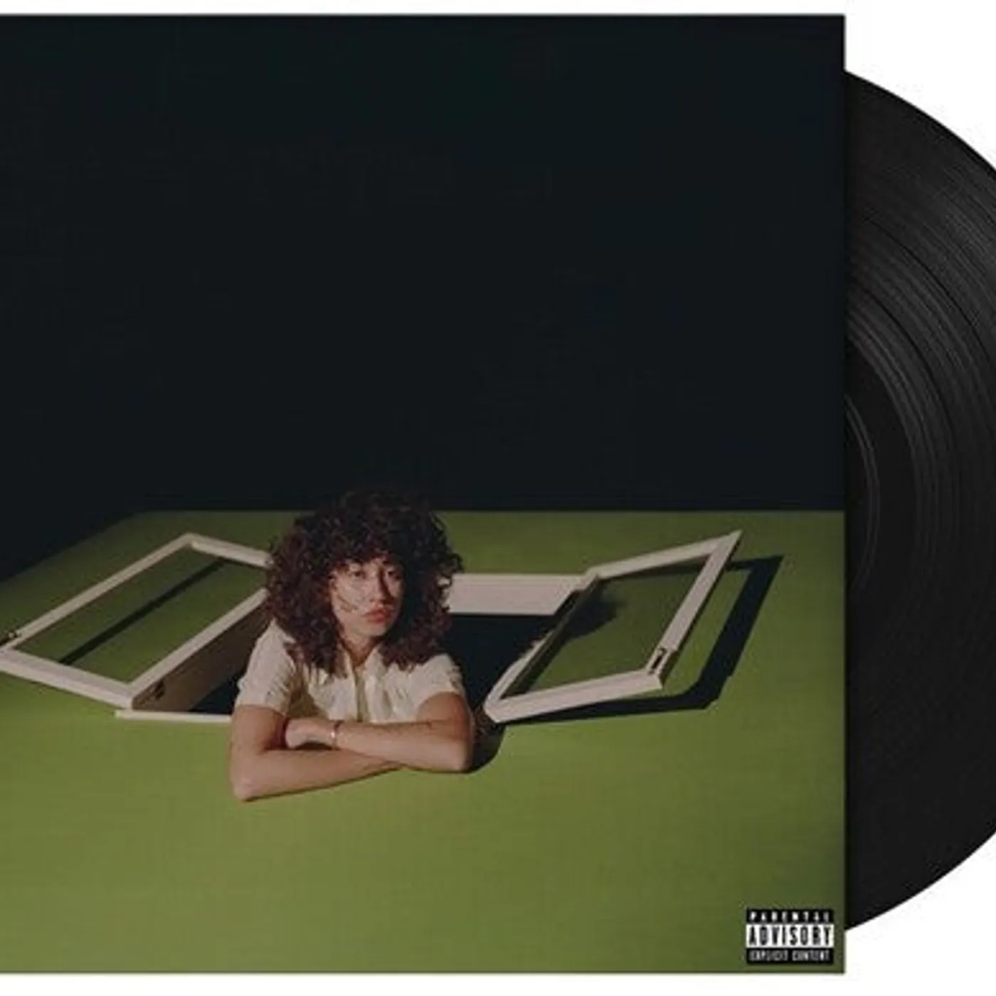 Towa Bird LP Vinyl - American Hero