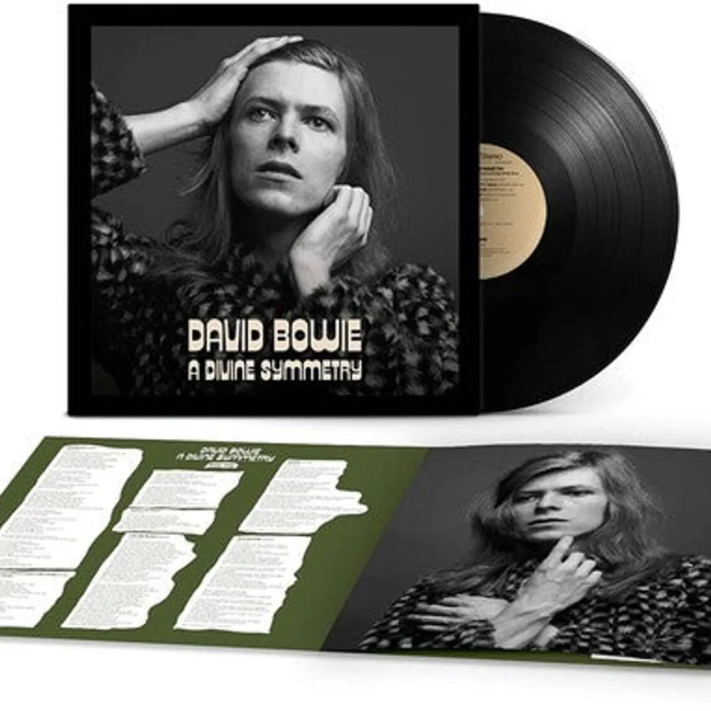 David Bowie LP Vinyl - Divine Symmetry (Alternative Journey Hunky Dory)