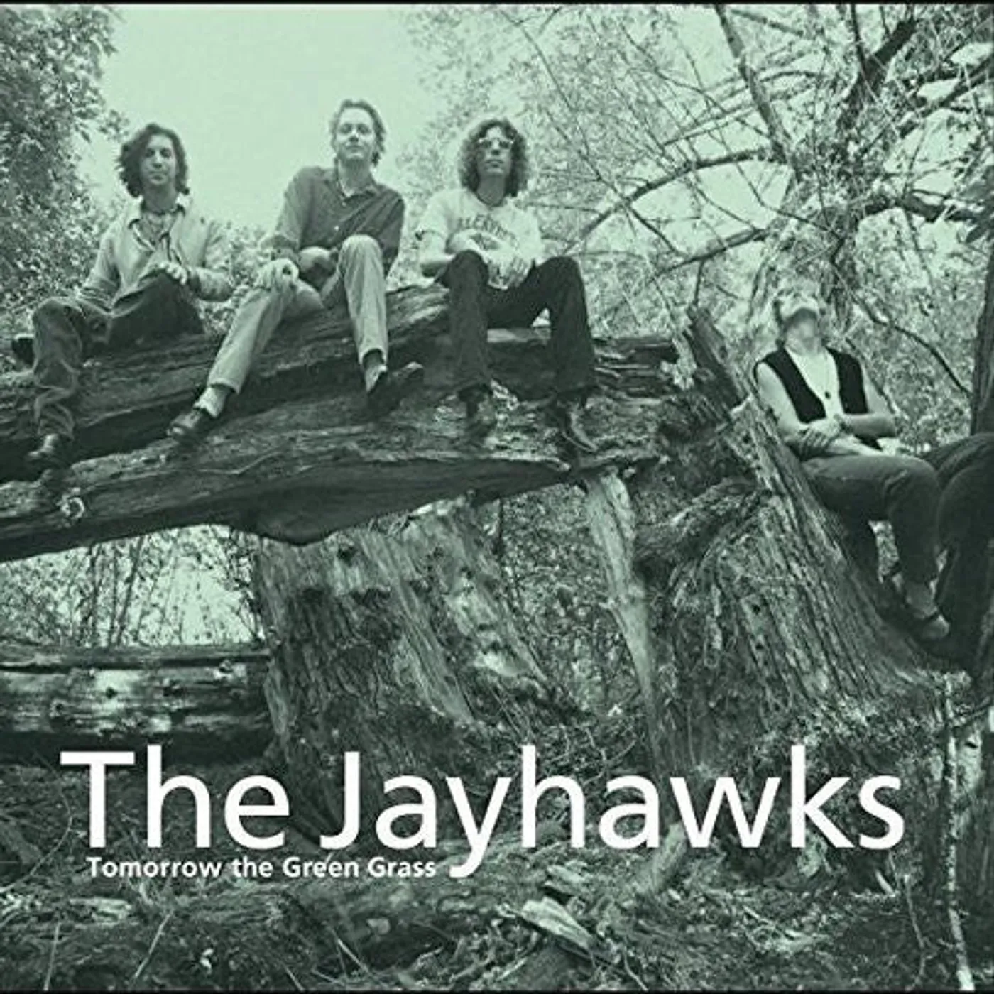 The Jayhawks LP Vinyl - Tomorrow The Green Grass
