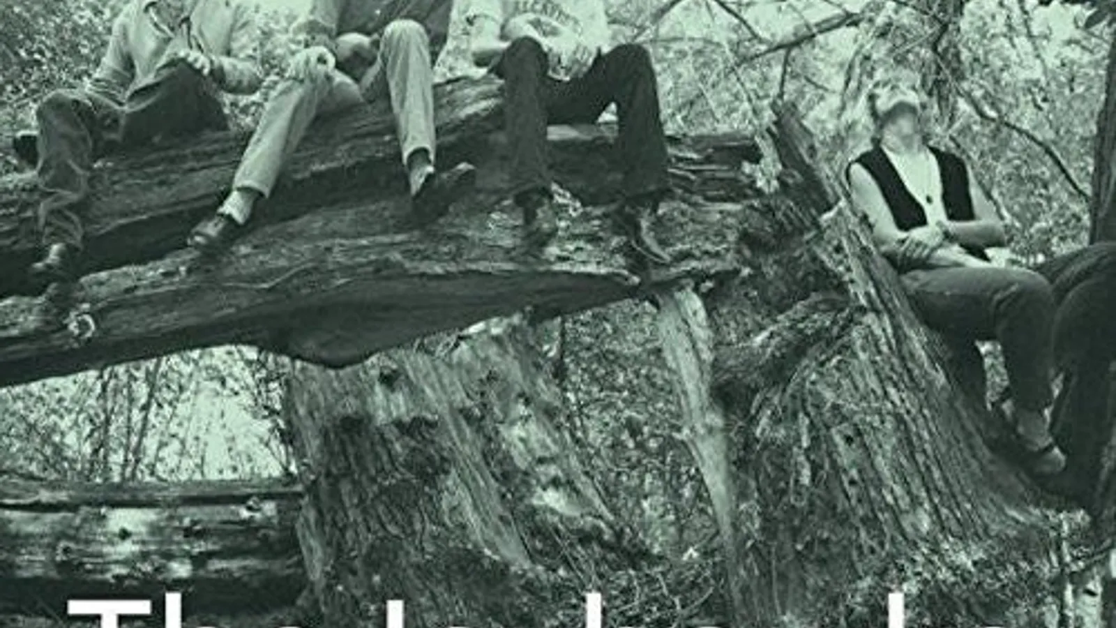 The Jayhawks - Tomorrow The 〜 オリジナルLP Buy The Jayhawks : Tomorrow The Green Grass (Vinyl) Online