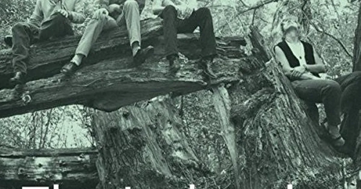 The Jayhawks LP Vinyl - Tomorrow The Green Grass