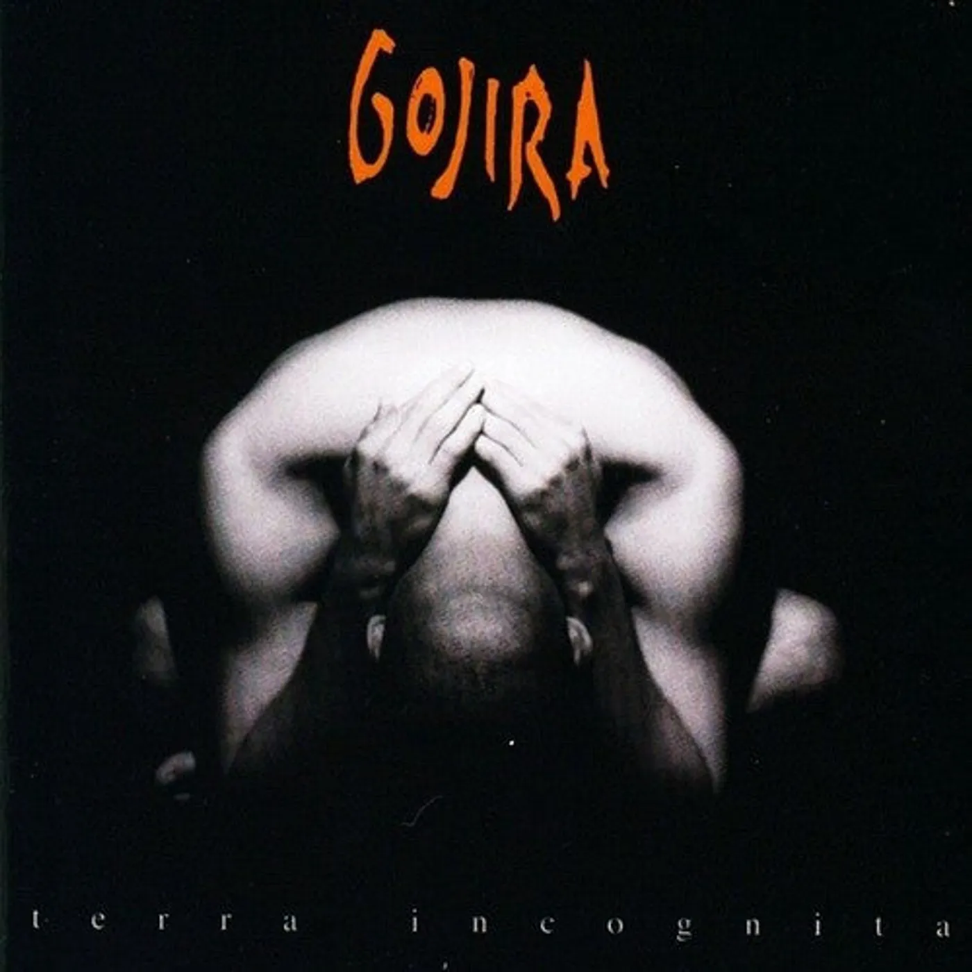 Gojira LP Vinyl - Terra Incognita