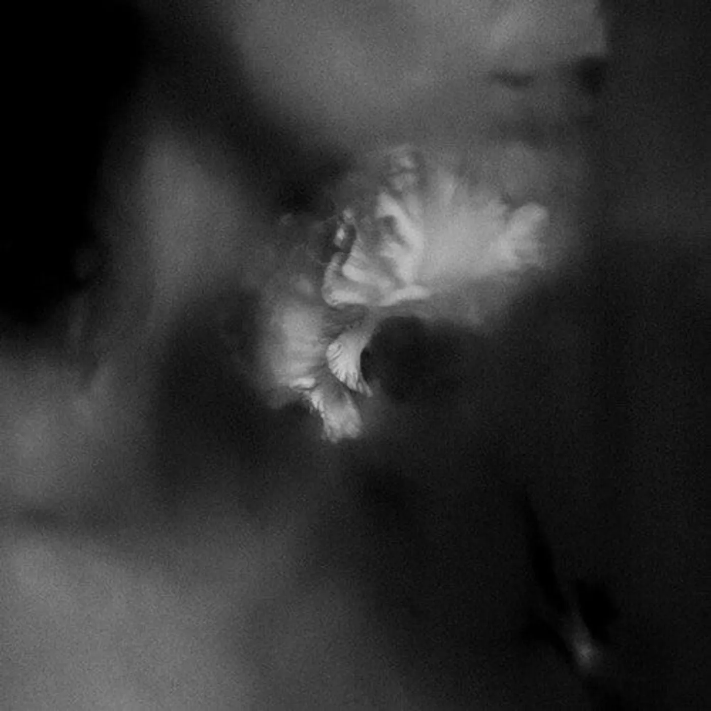 Holding Absence LP Vinyl - Holding Absence - Clear W/ Black Splatter (Blk)