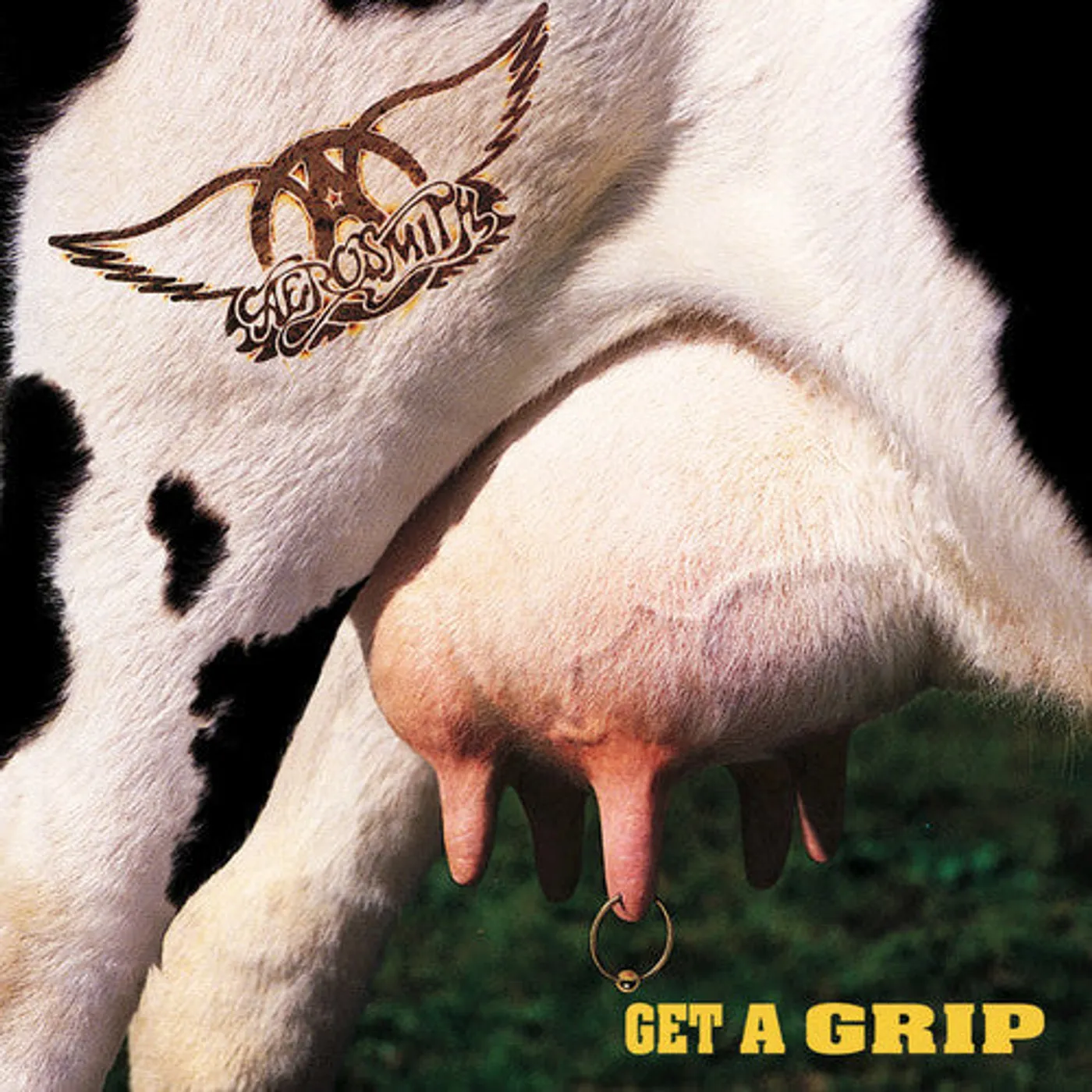 Aerosmith LP Vinyl - Get A Grip (Ogv)