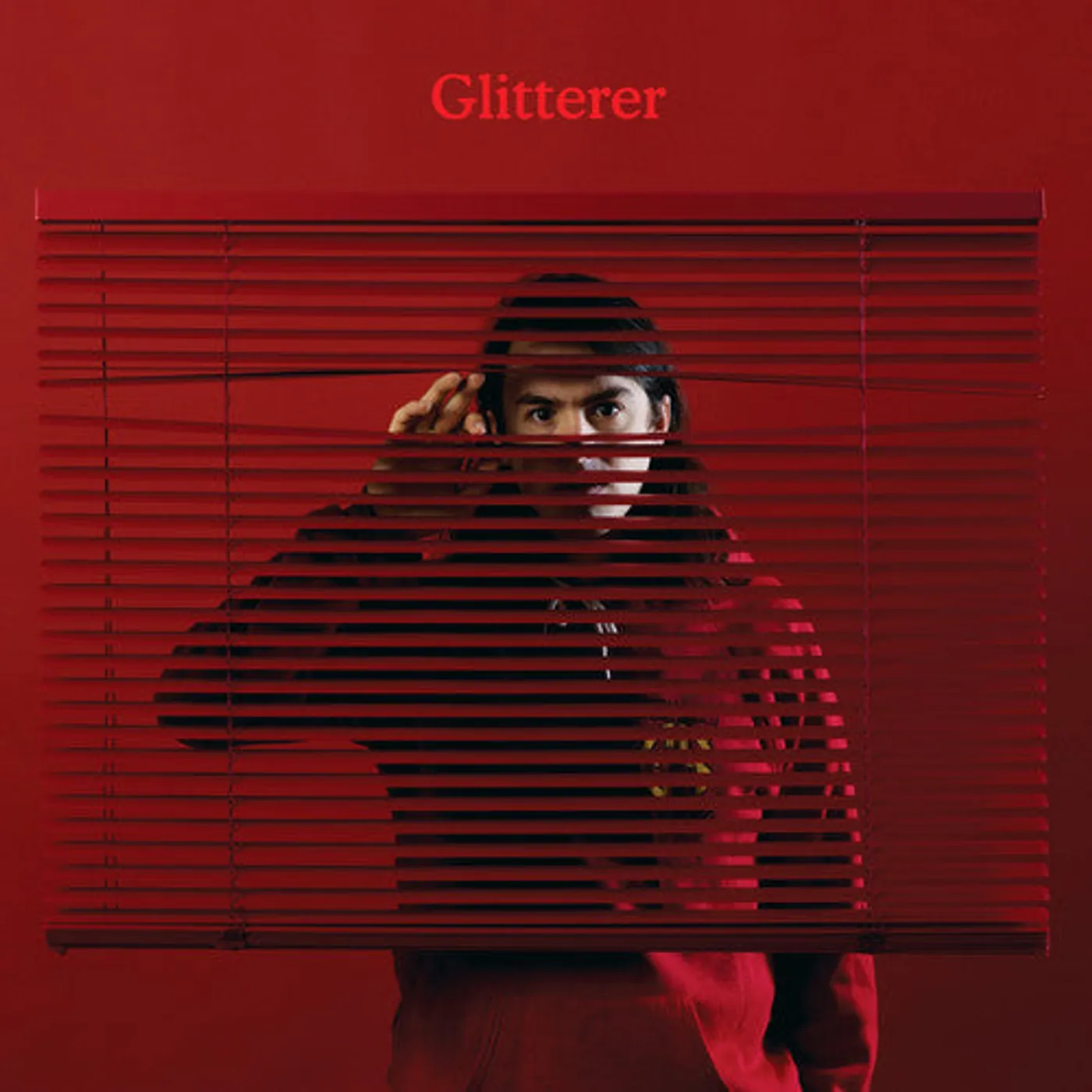 Glitterer LP Vinyl - Looking Through The Shades