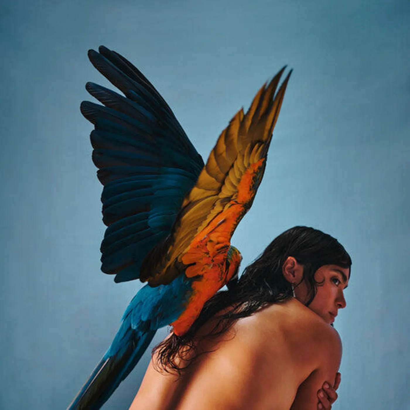 Reyna Tropical LP Vinyl - Malegria