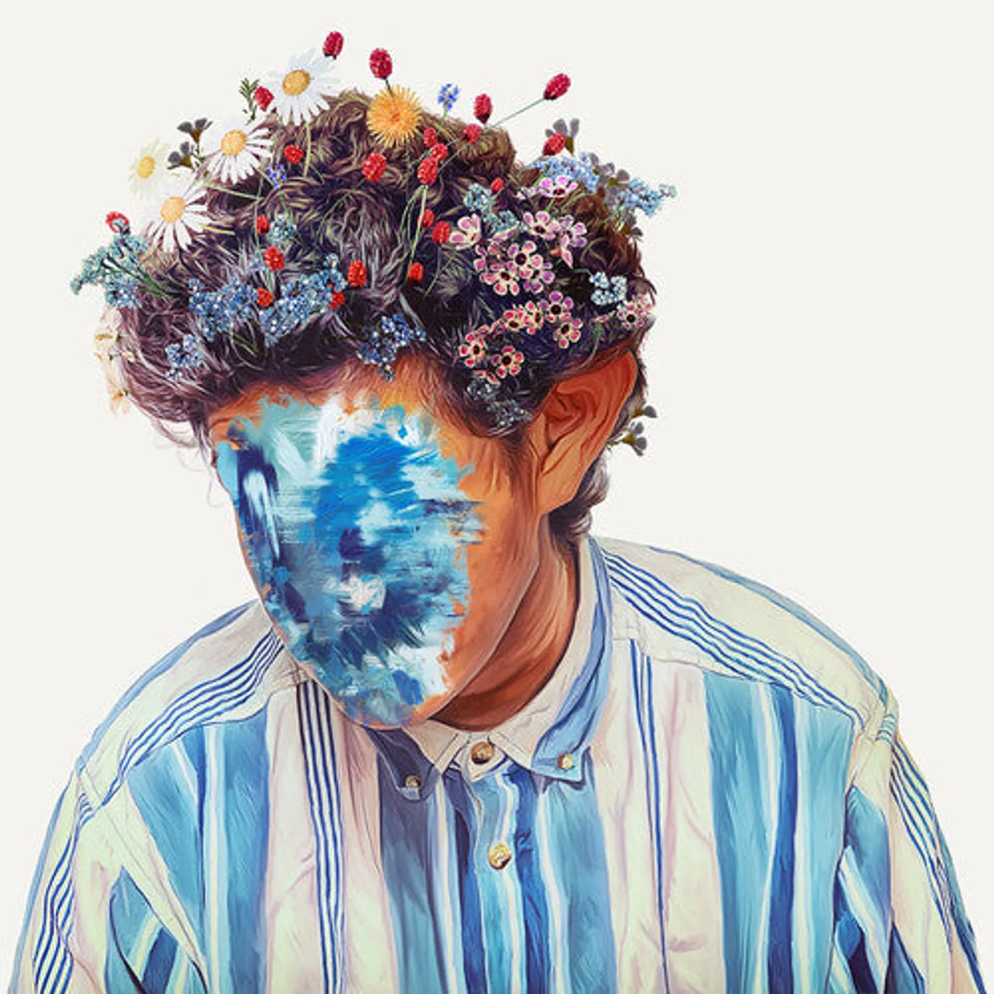 Hobo Johnson LP Vinyl - Fall Of Hobo Johnson