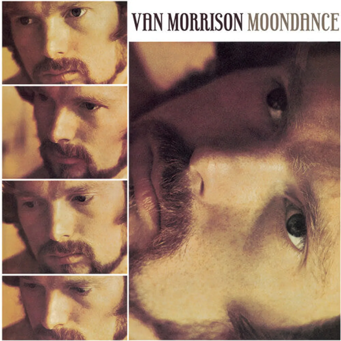 Van Morrison LP Vinyl - Moondance (Dlx)